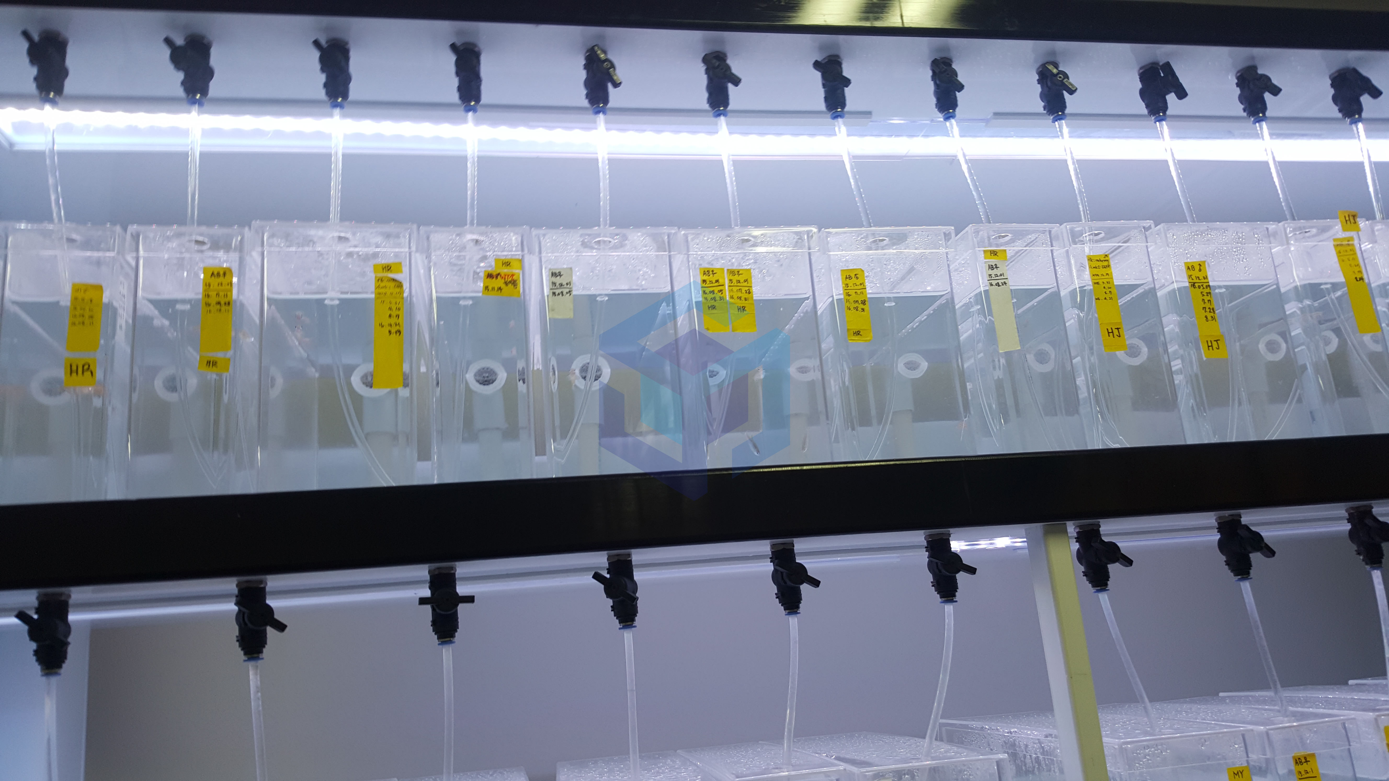 제주대학교 2-1.jpg