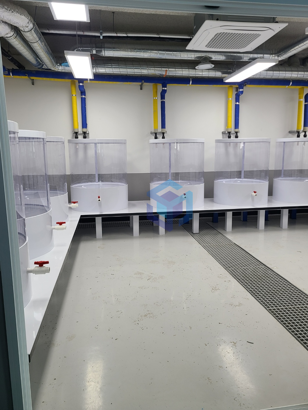 알테미어부화용 수조 천파이.jpg