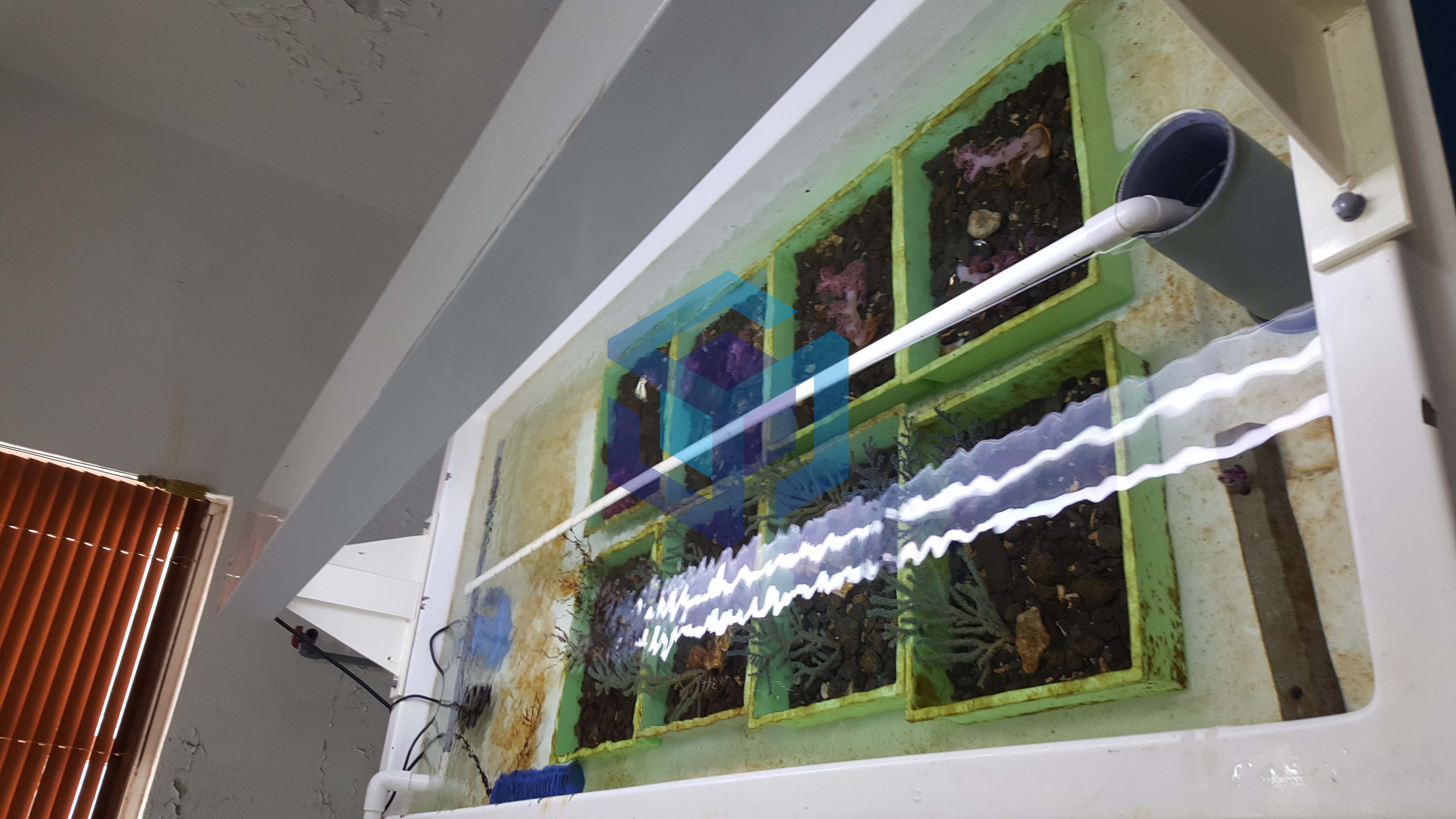 제주수산연구소 연구용수조 1-2.jpg