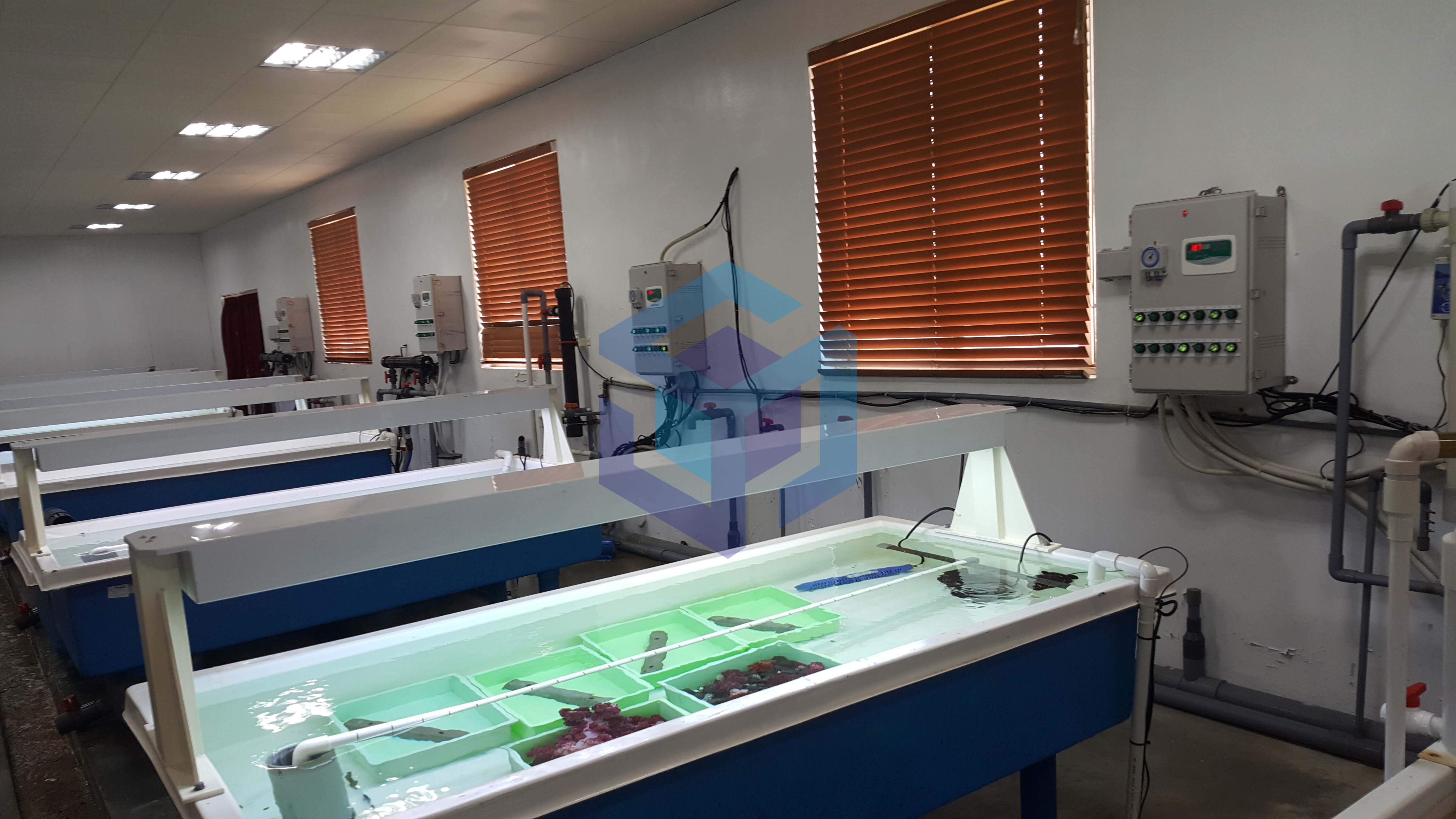 제주수산연구소 연구용수조.jpg
