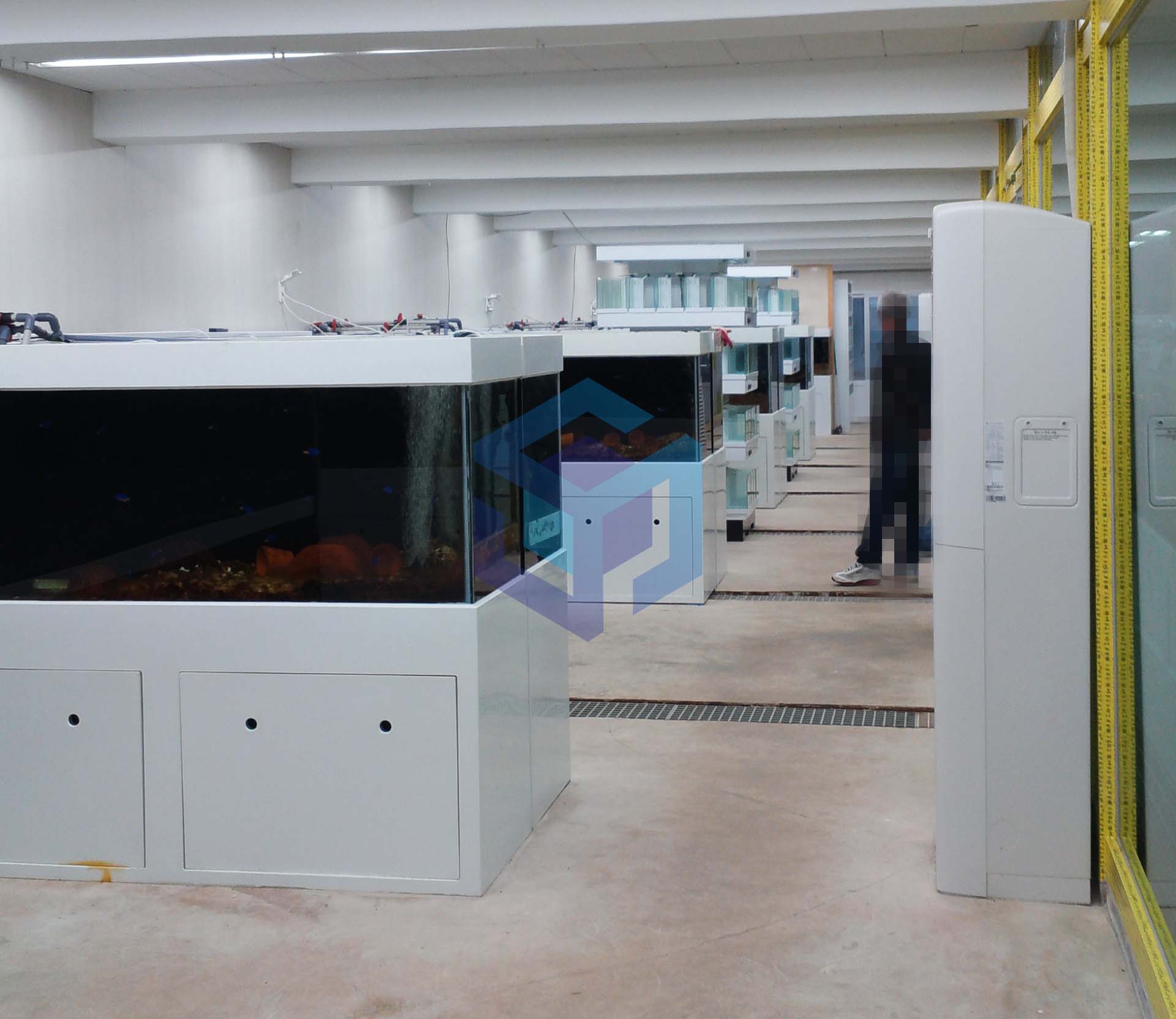 제주과학원 연구용수조 2.jpg