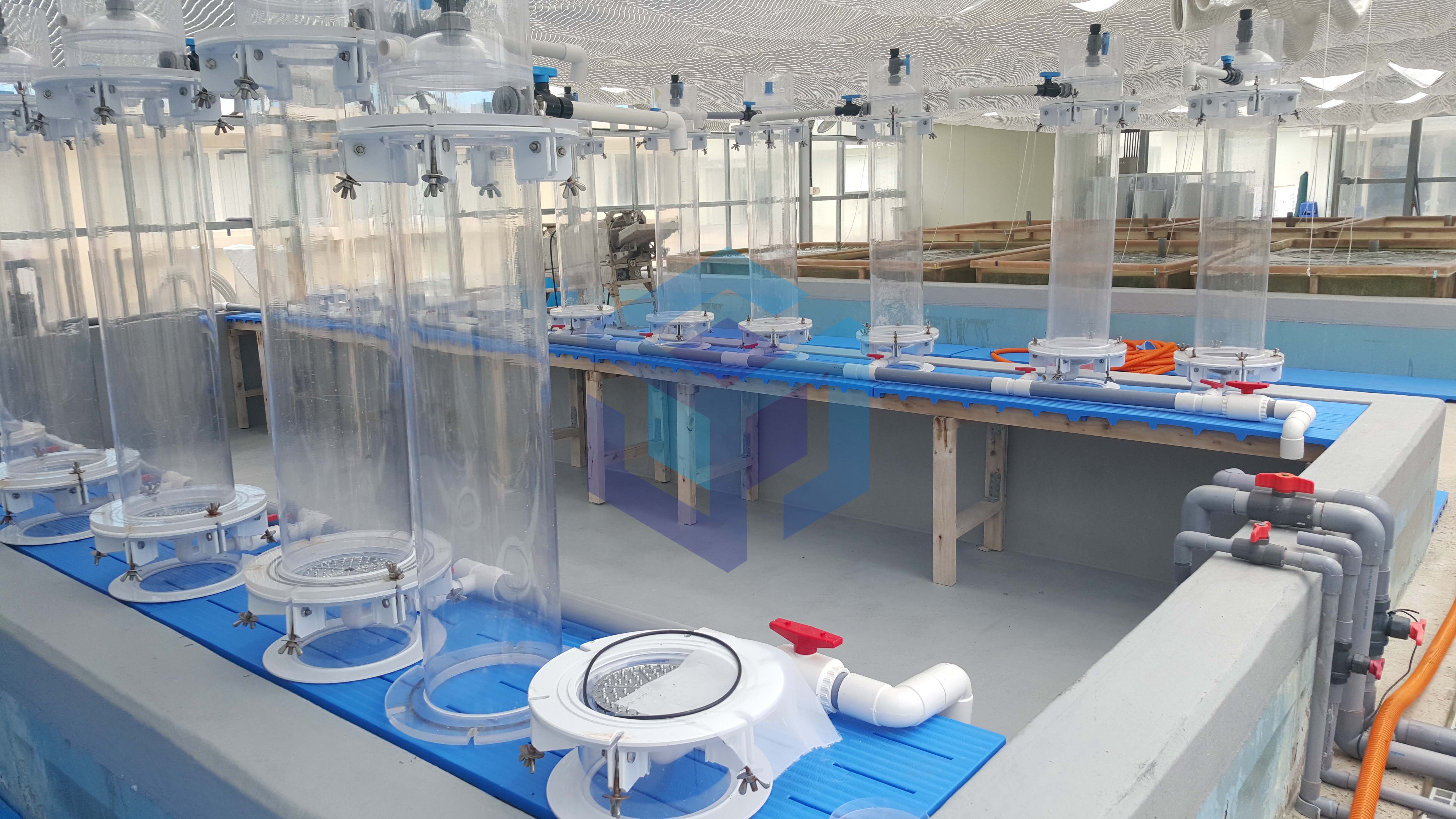 남동해연구소 연구수조.jpg