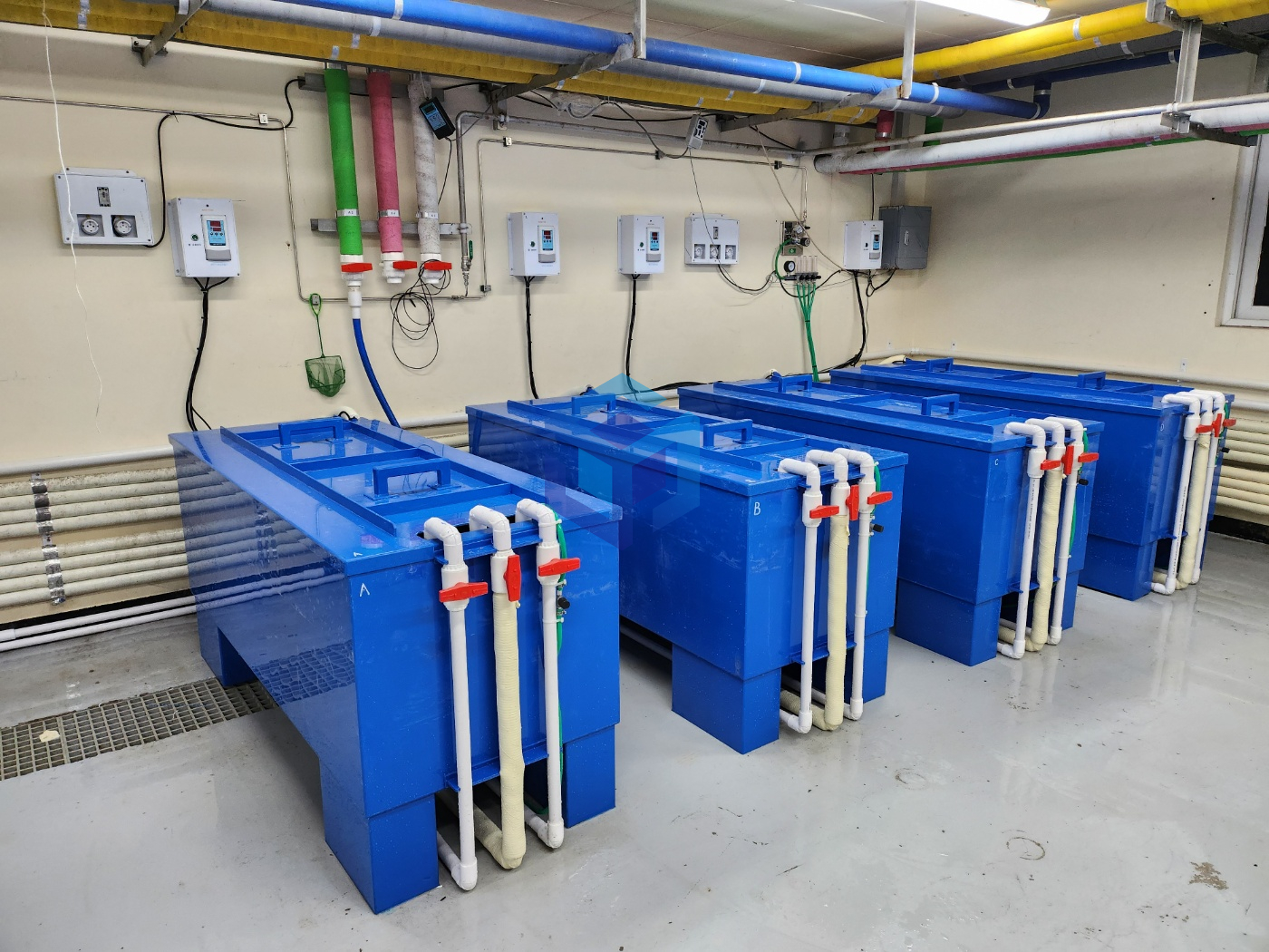 김형수 작업3.jpg