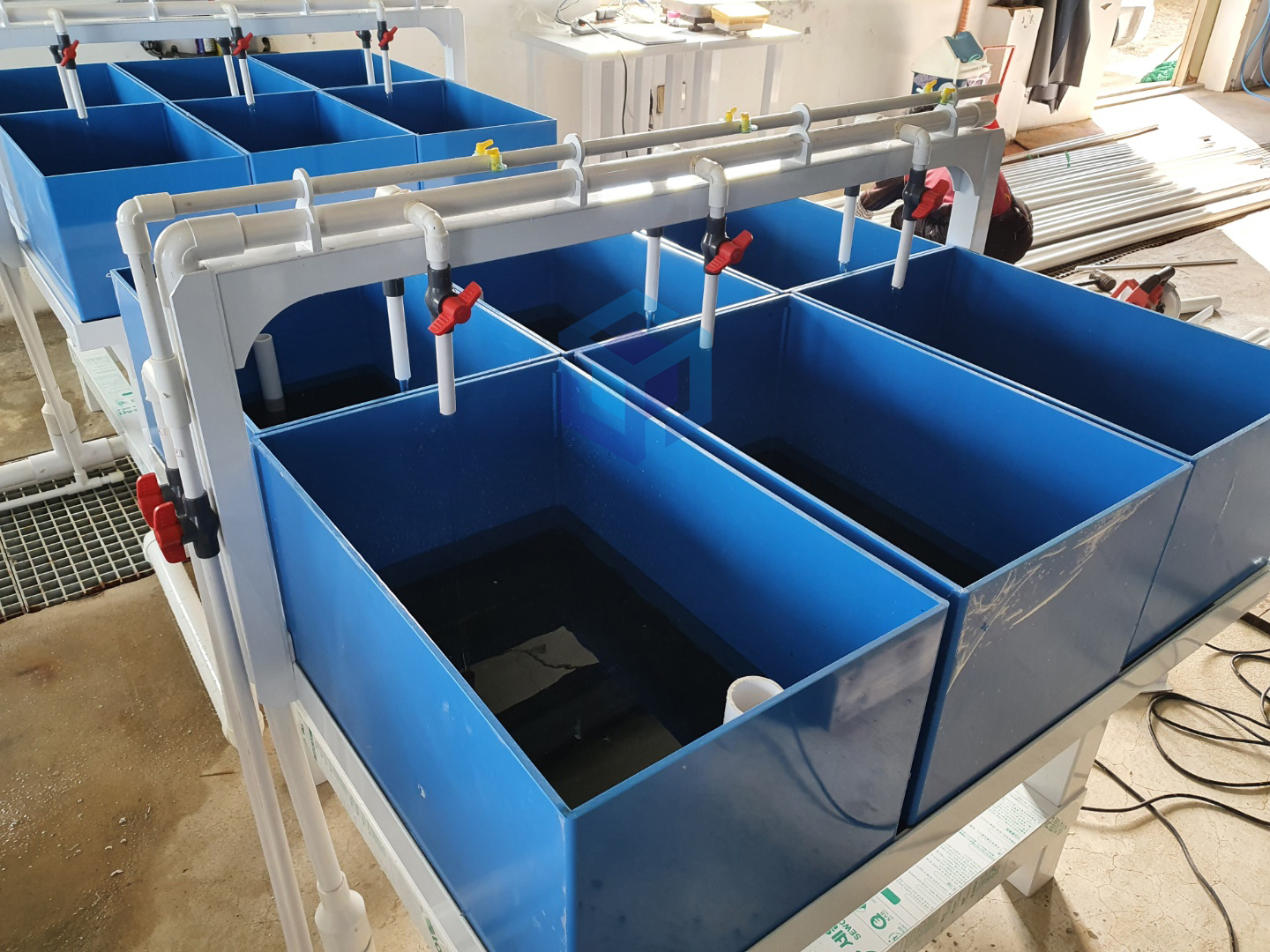 2022.03-02 포항 전복수조.jpg