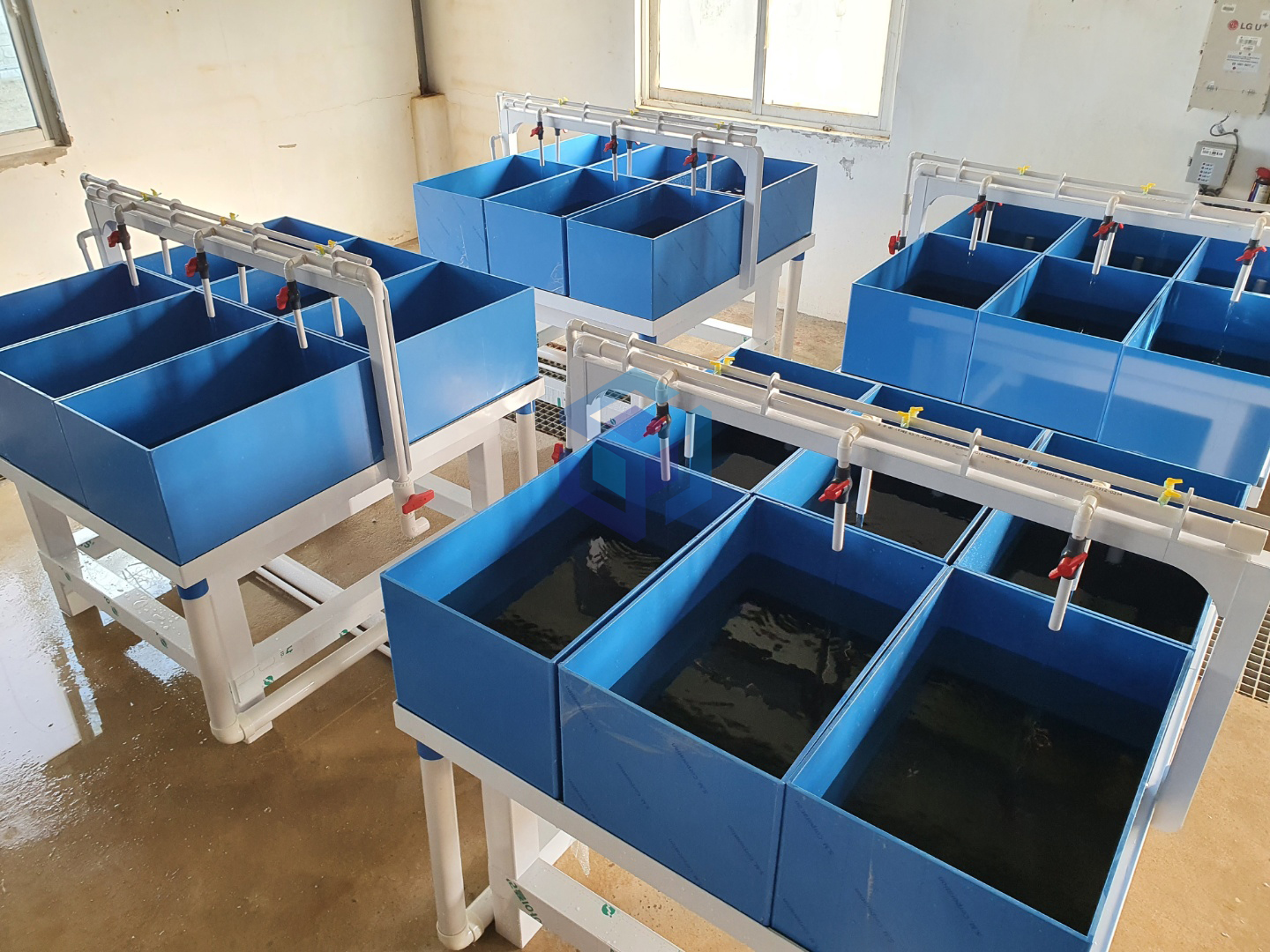 2022.03-03 포항전복수조.jpg