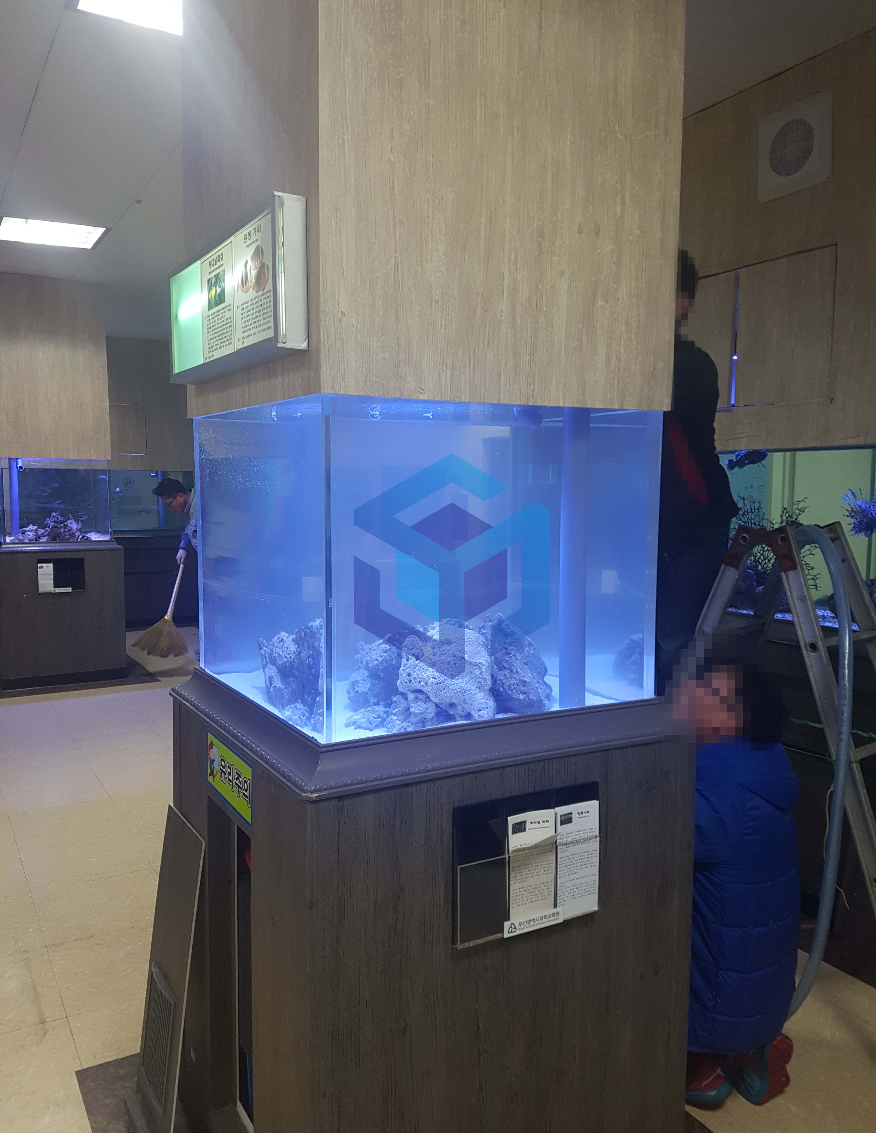 기둥 관상어수족관1-2.jpg