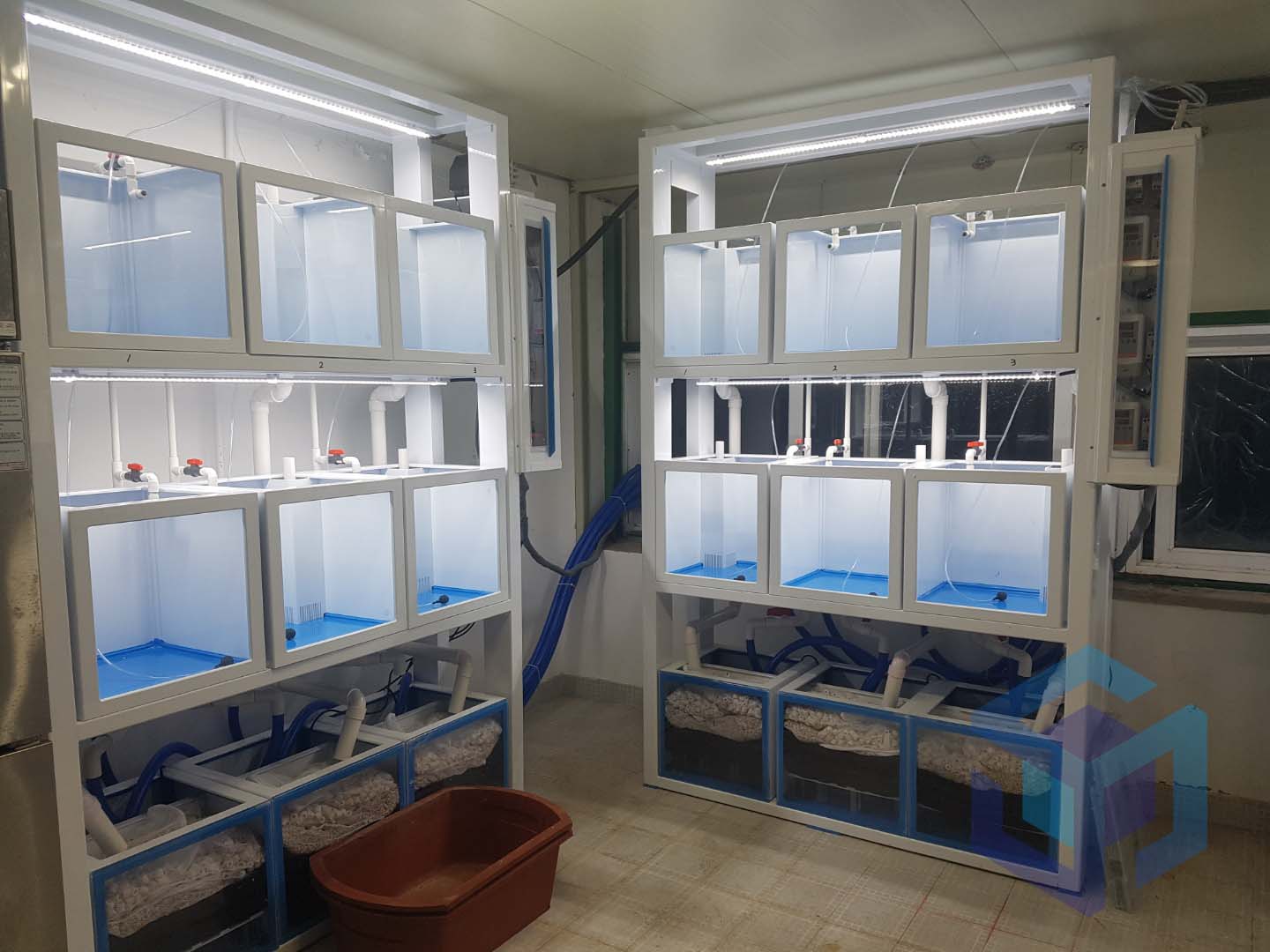 2층 연구용 수조.jpg