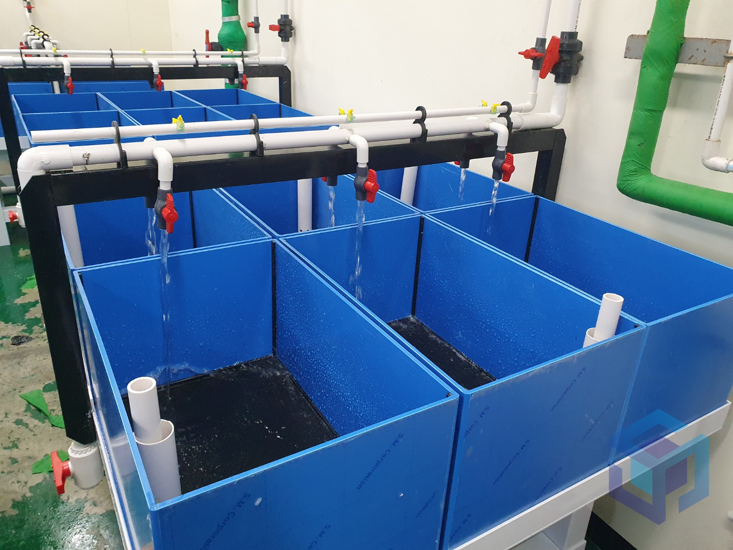 2022.05 부경대 전복수조1.jpg