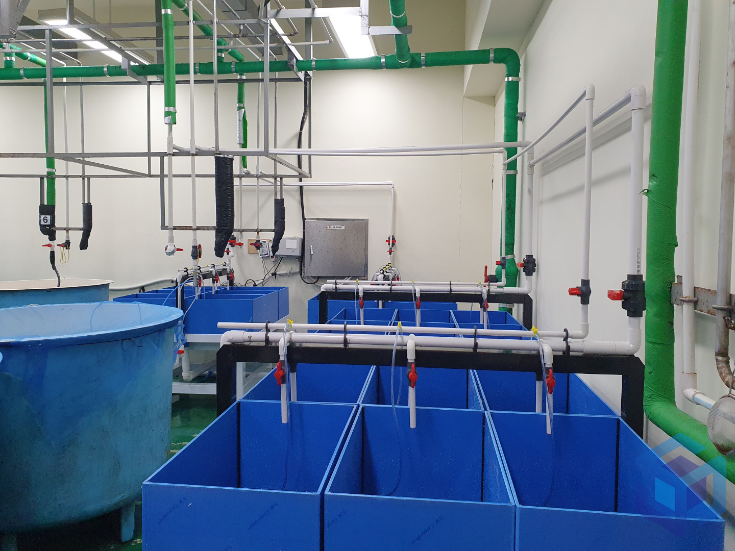 2022.05 부경대 전복수조1-2.jpg