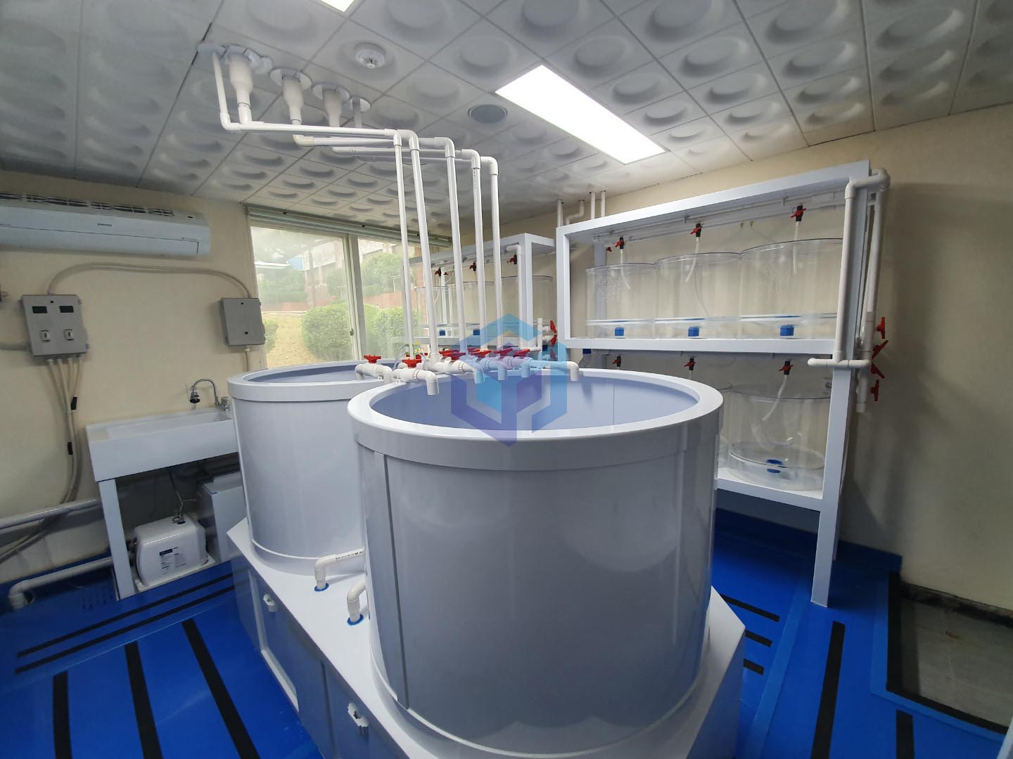 2022.06 김영삼박사1-2.jpg