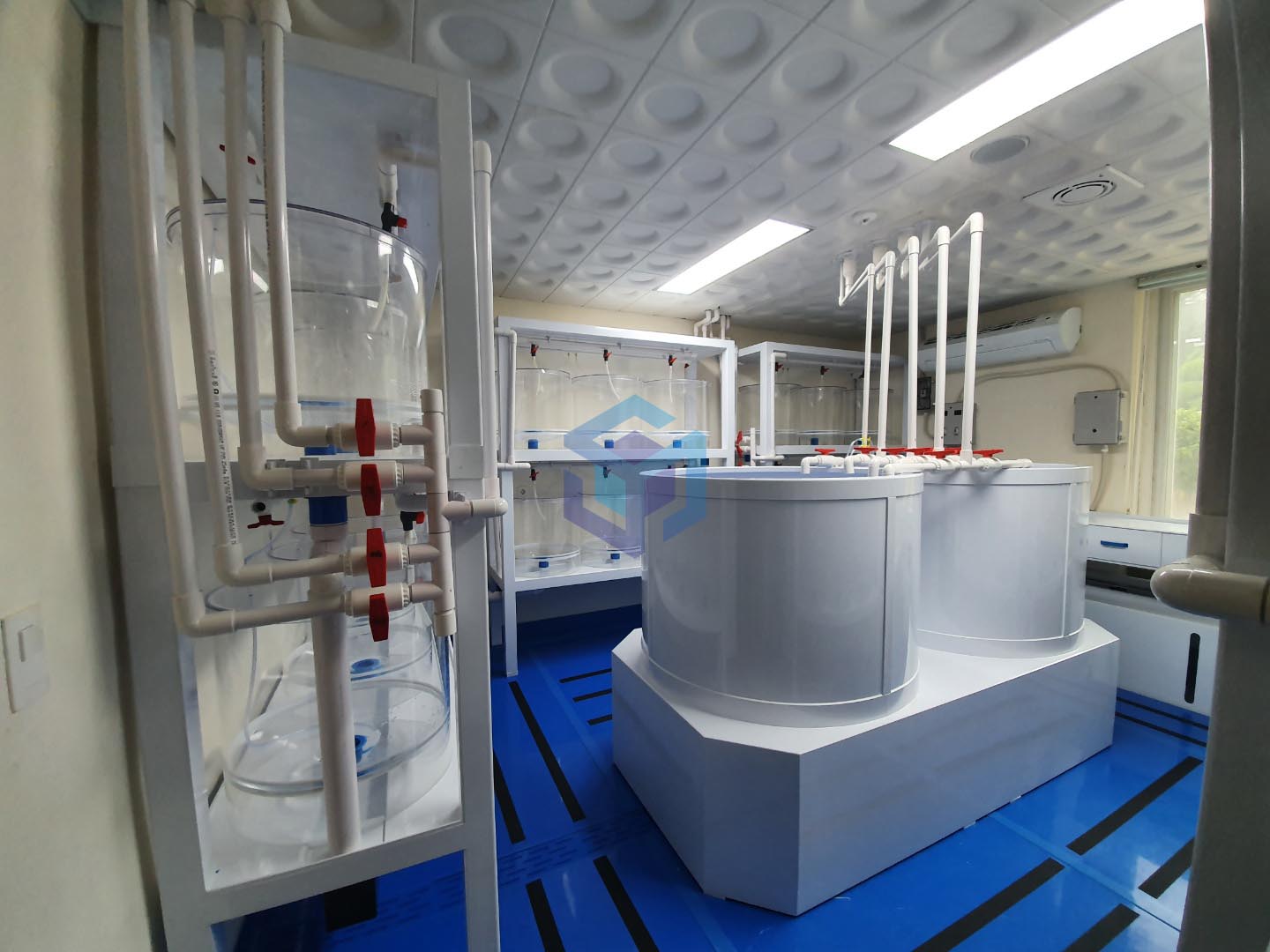 2022.06 김영삼박사1-3.jpg