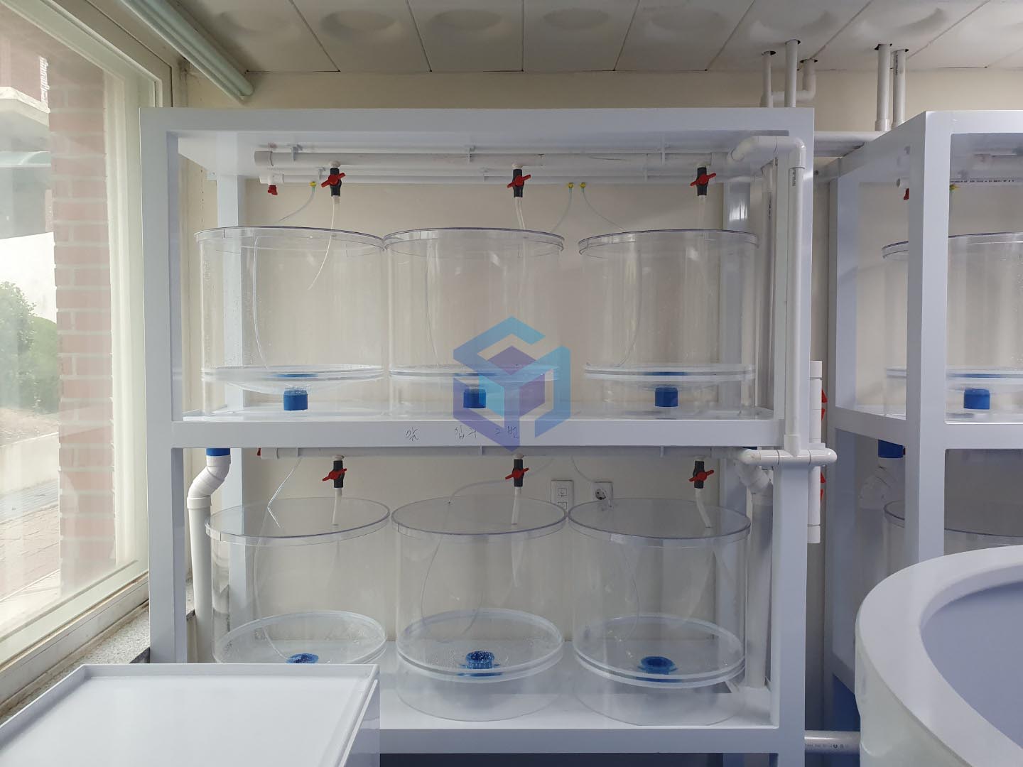 2022.06 김영삼박사1.jpg