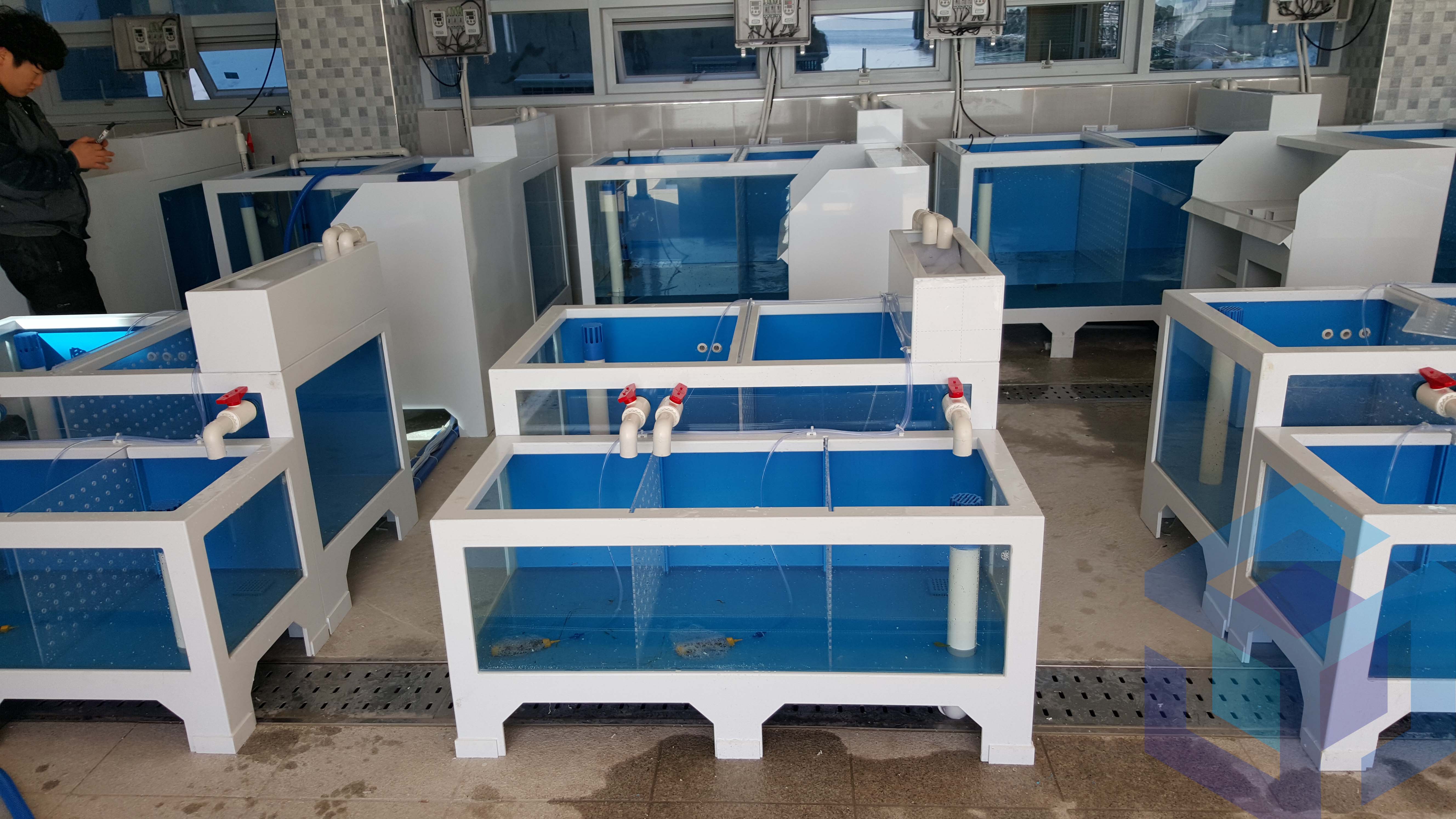 울릉도 회센터3.jpg