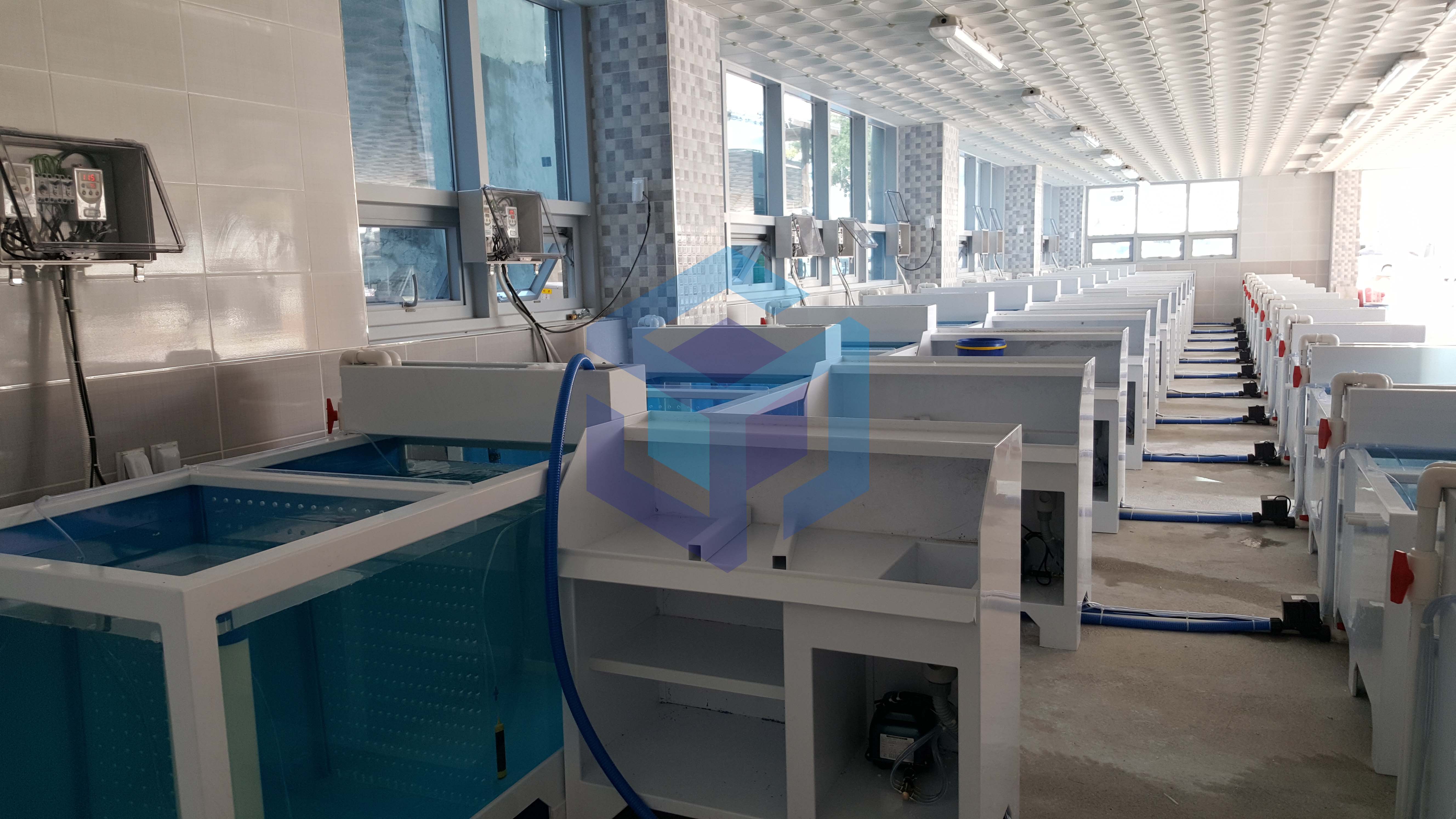 울릉도 회센터4.jpg