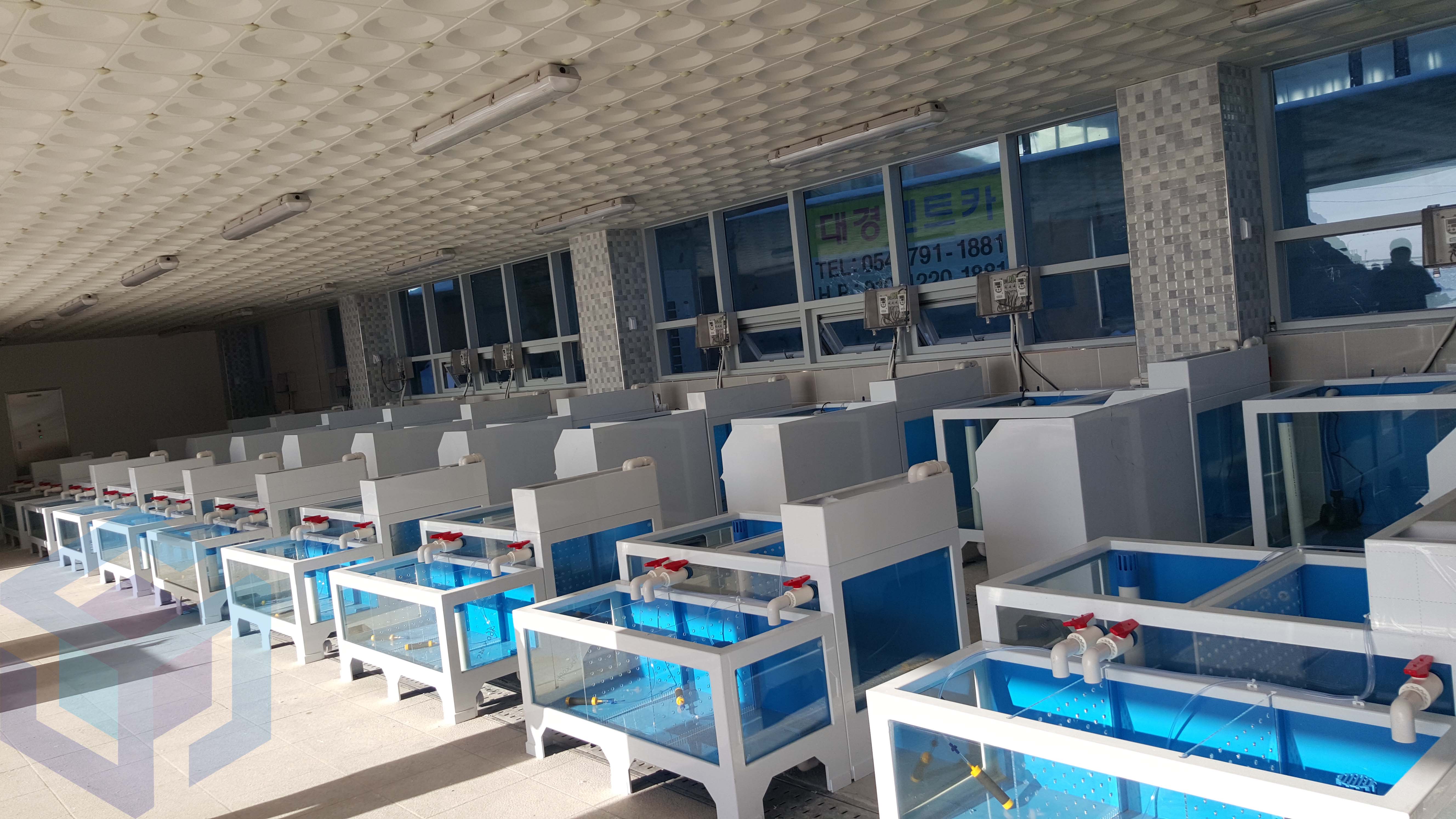 울릉도 회센터2.jpg