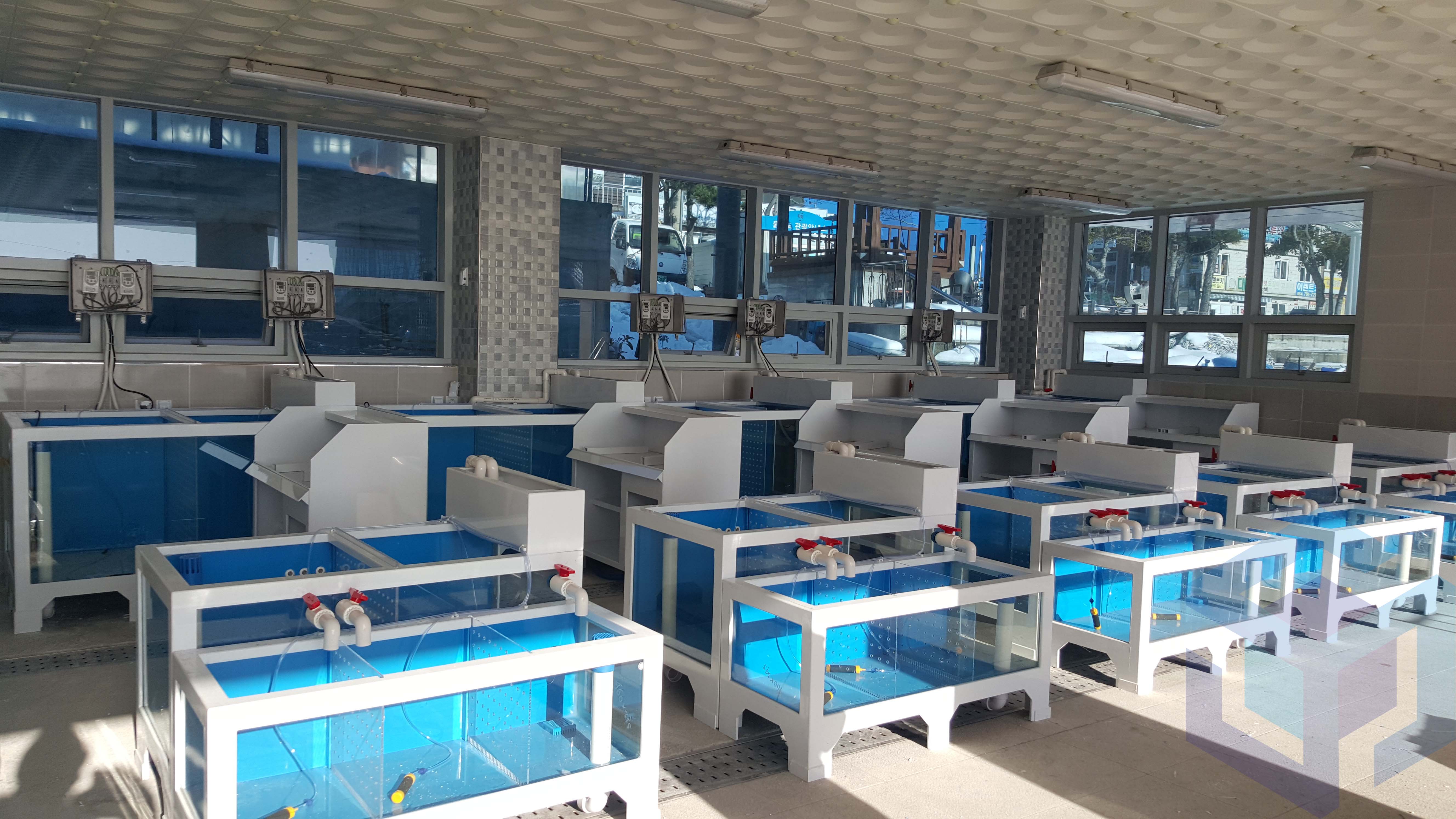 울릉도 회센터.jpg