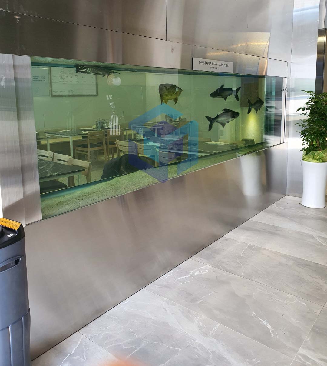 진주 관상어 수조 인테리어.jpg