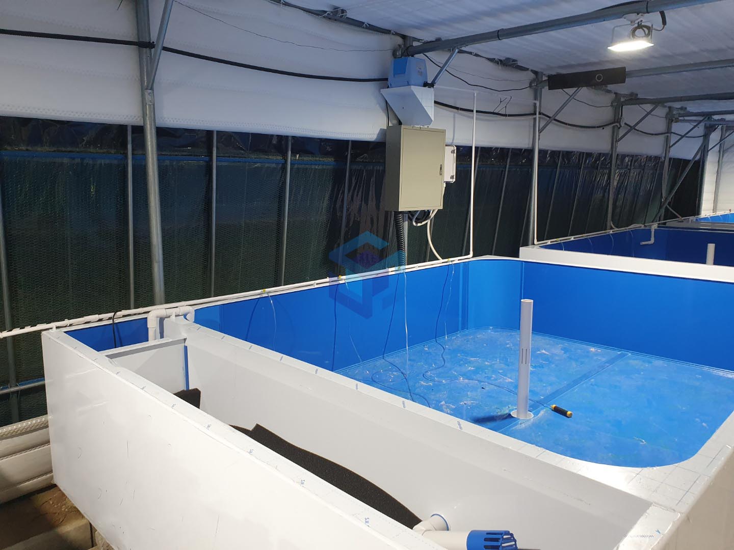 2022.08 울산 새우양식장 4.jpg